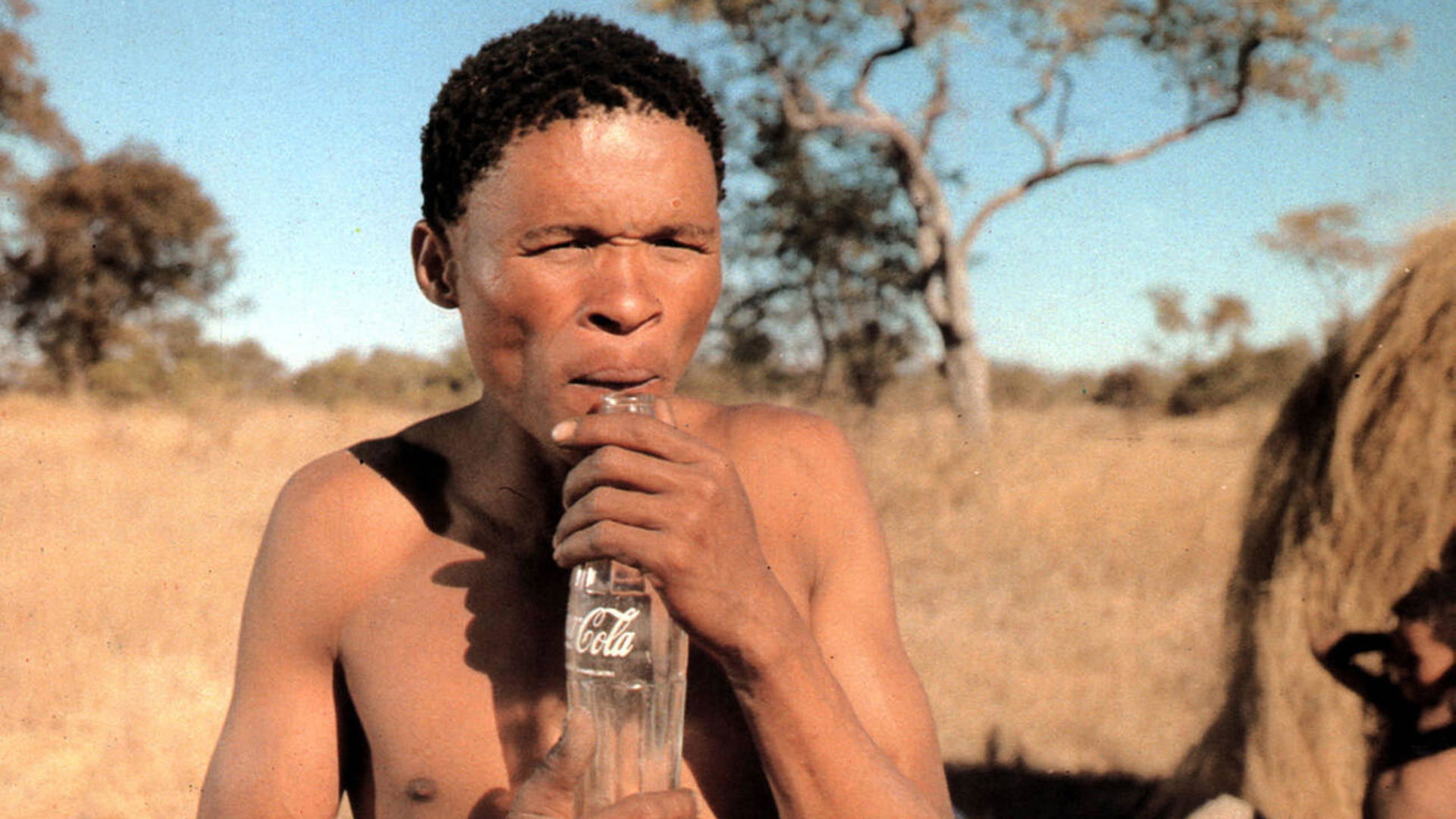 The Gods Must Be Crazy