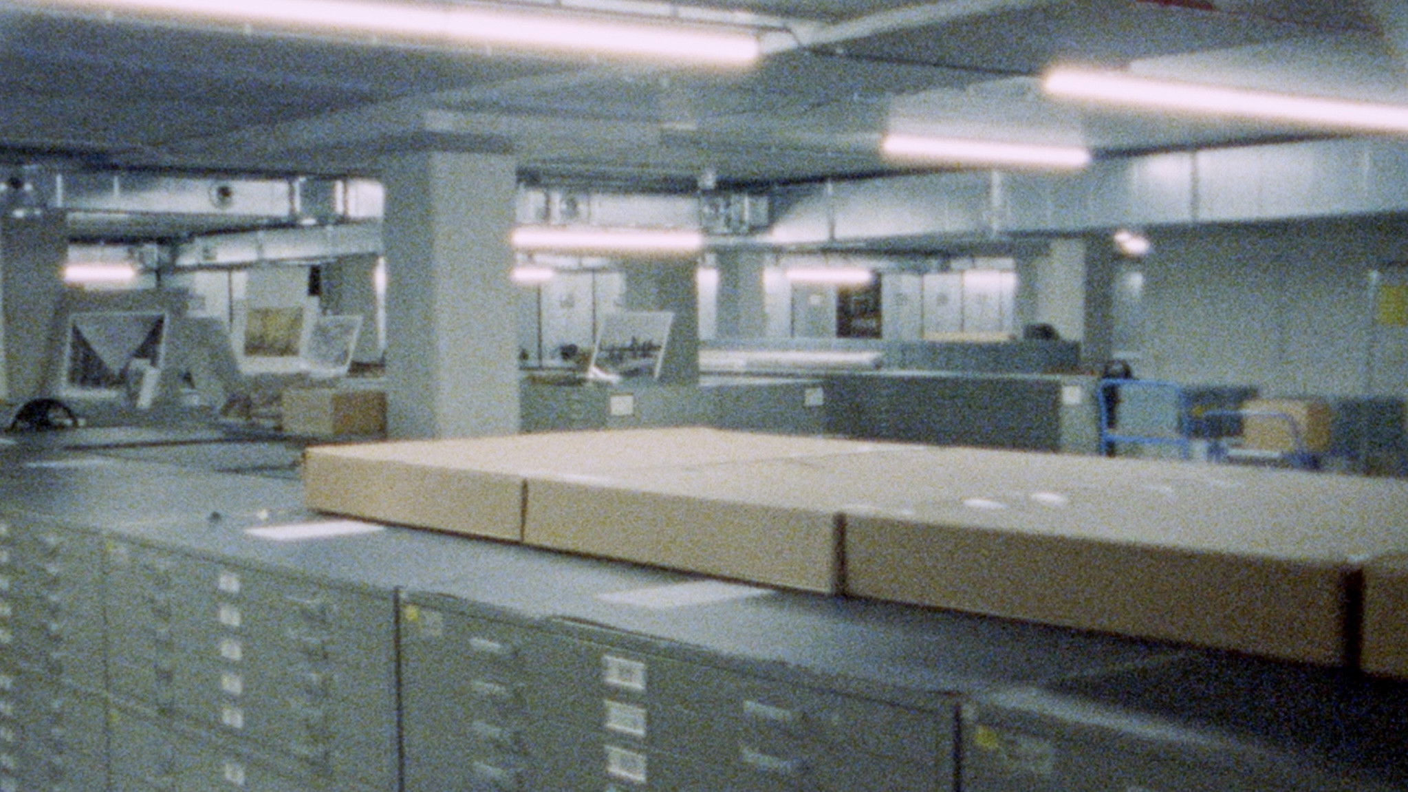 Seen From Here, I Feel Like Belonging