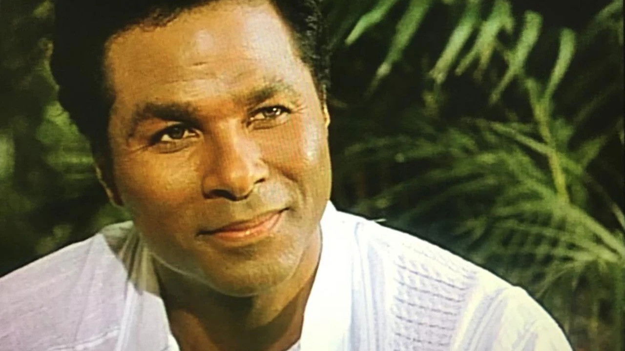 A Little Piece of Sunshine