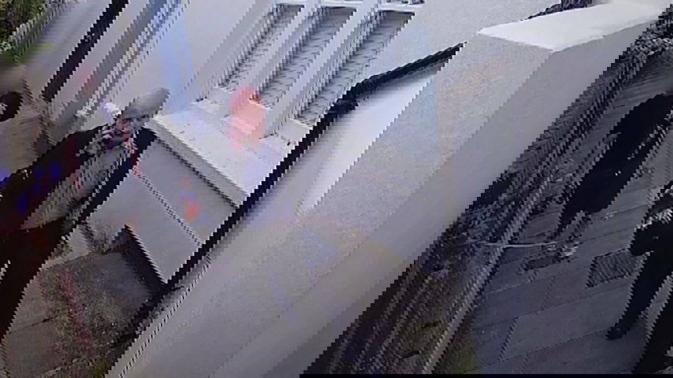 How to Catch a Cat Killer