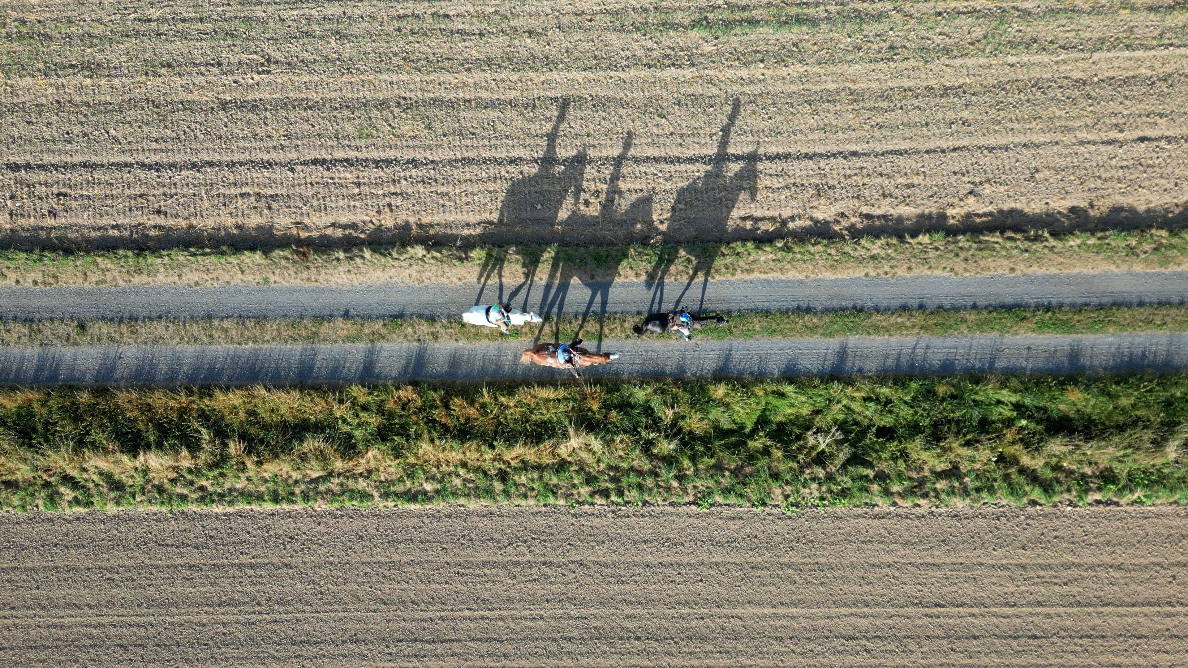 TransGermania - Vom Alpenrand zum Meeresstrand