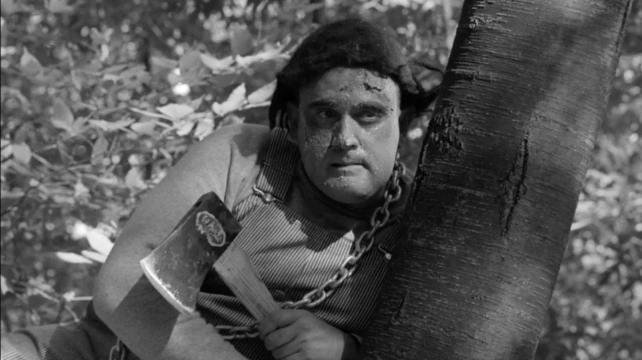 The Monster of Camp Sunshine or How I Learned to Stop Worrying and Love Nature