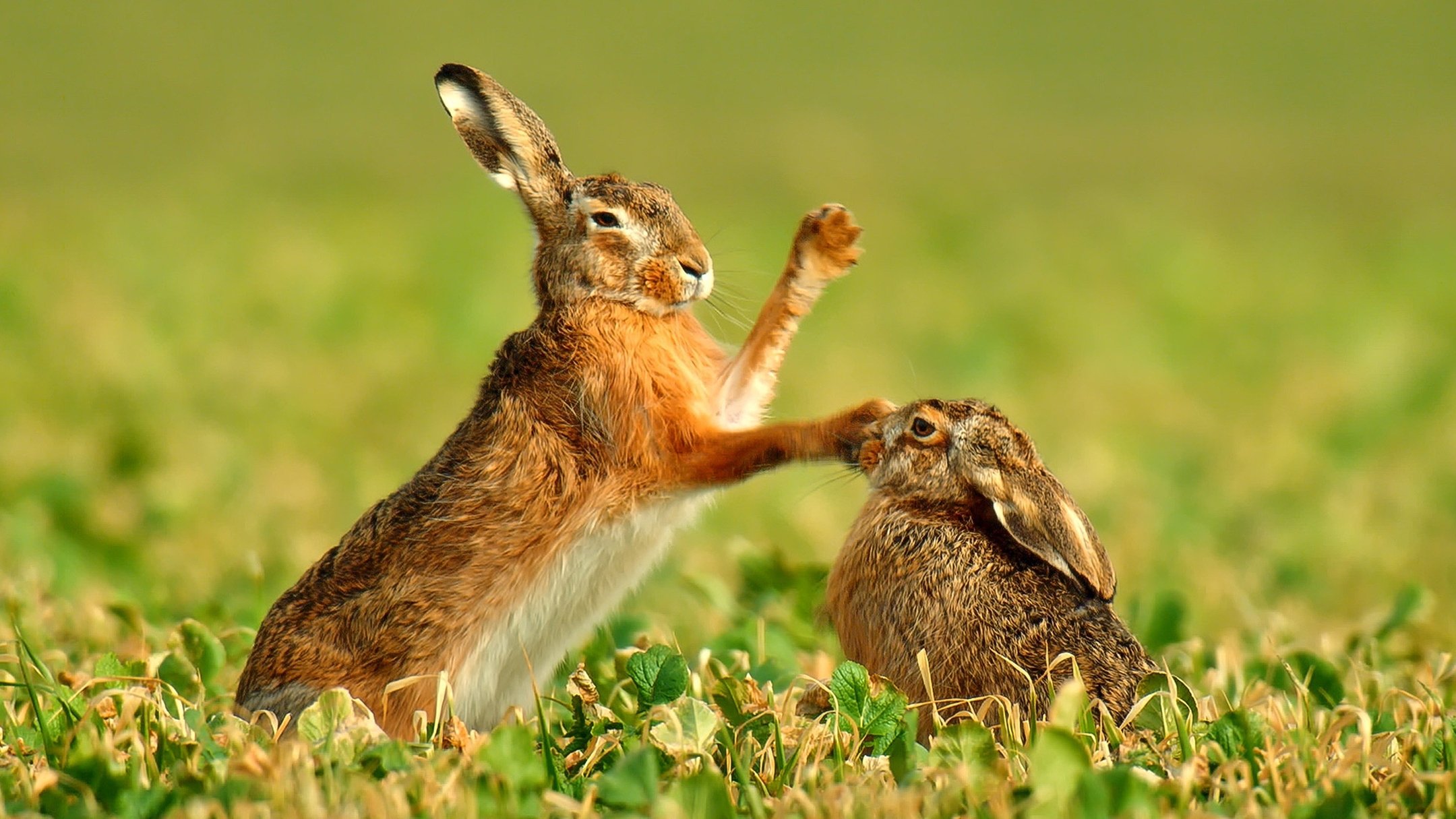 Nature's Magic Moments