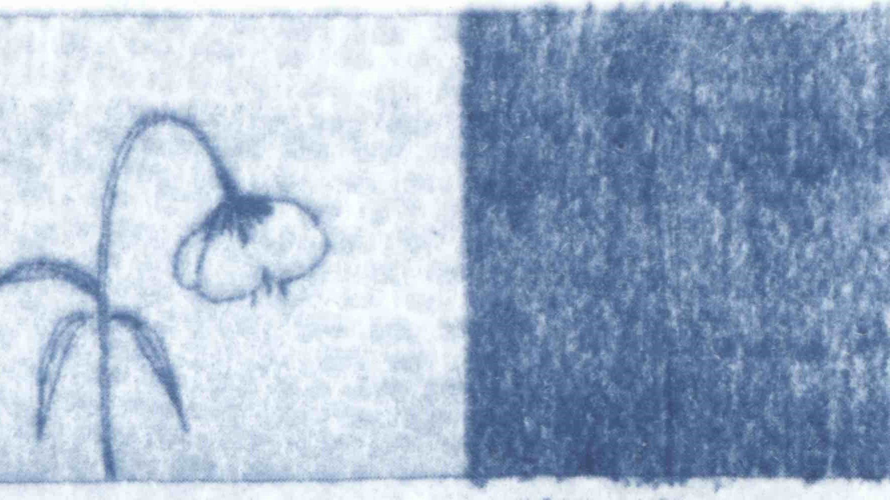 Blue Dreams of the Wind