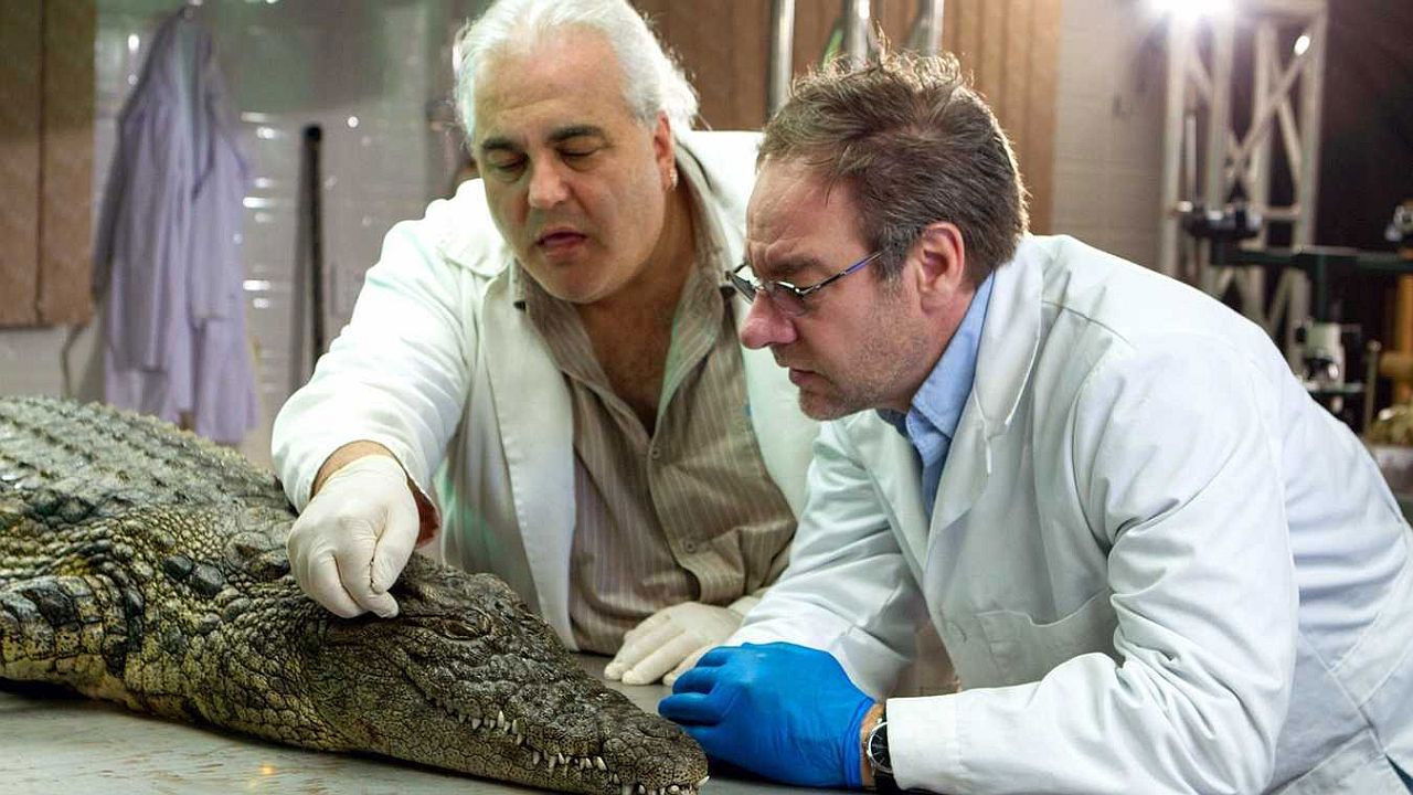 Das Krokodil - Innenansichten eines Kraftpakets