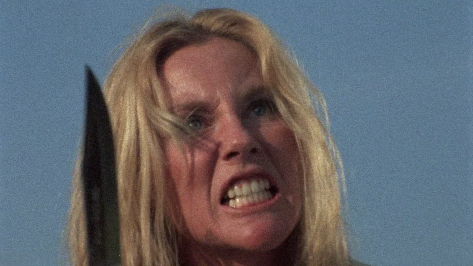 The Centerfold Girls