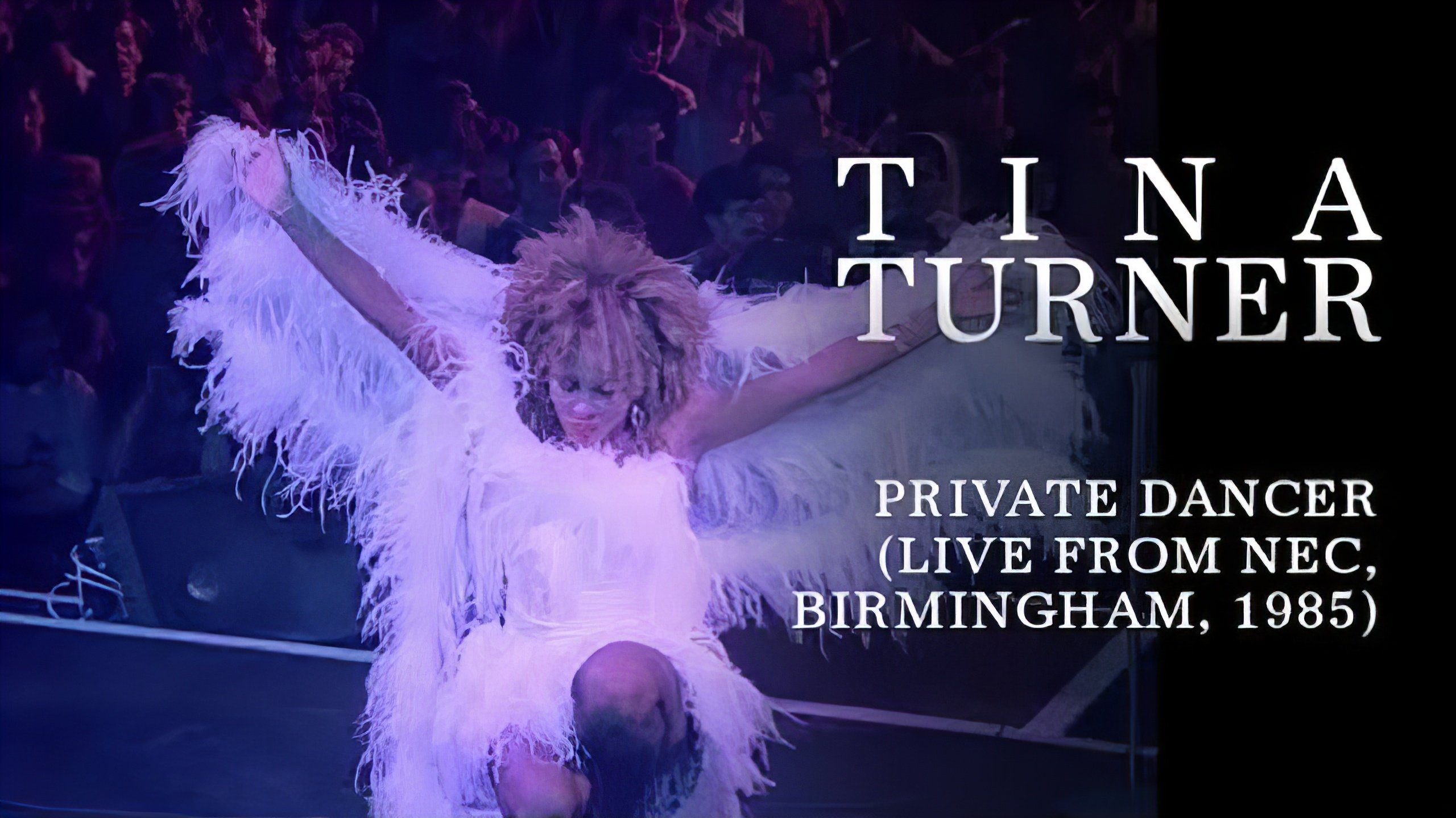 Tina Turner: Private Dancer Tour