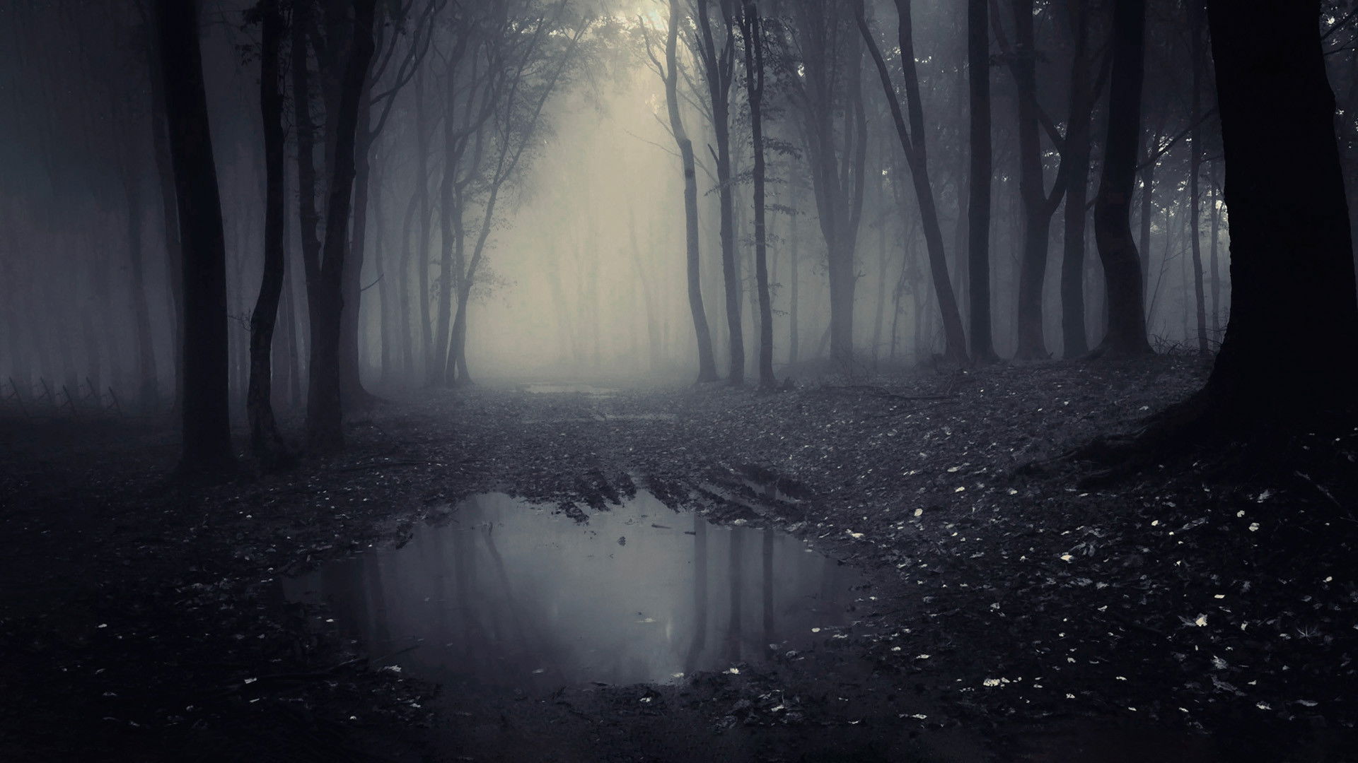 A Lenda do Homem Pássaro