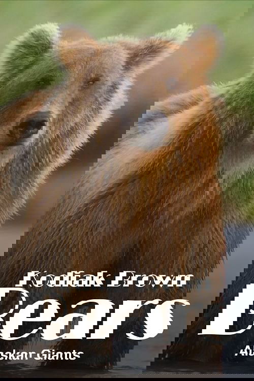 Alaska's Giant Bears