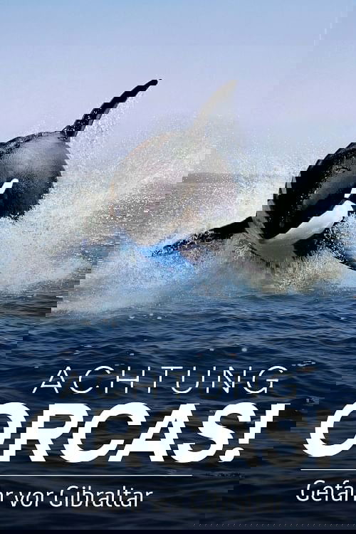 Watch Out for Orcas! Danger Off Gibraltar?