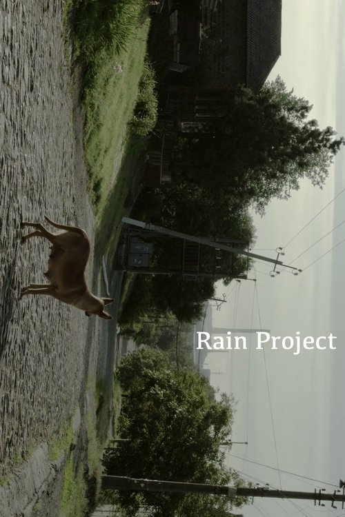 Rain Project