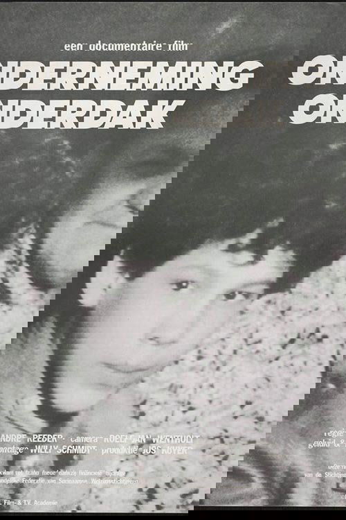 The Price of Shelter