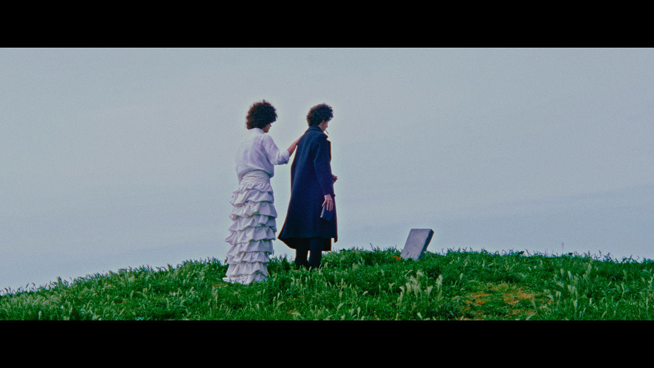 A Film in the Theatre