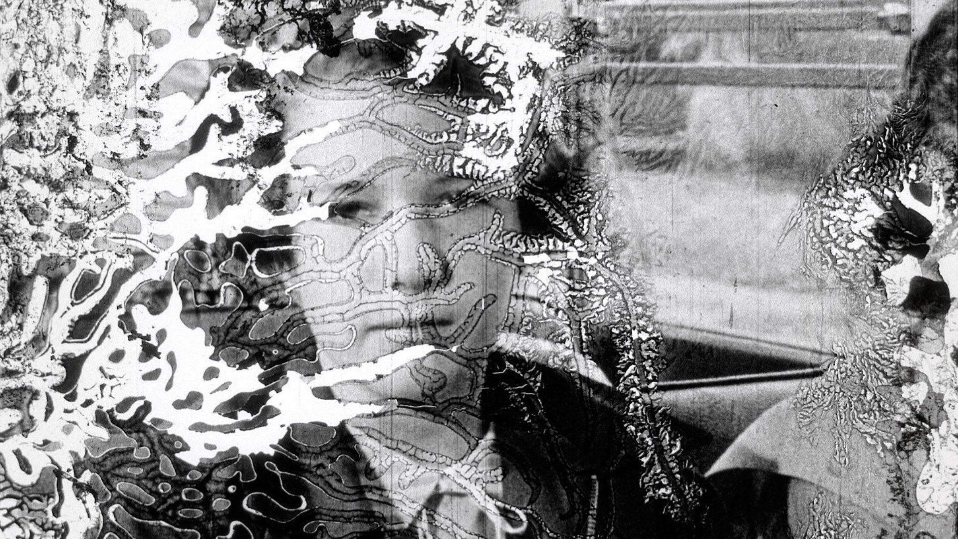 Decasia: The State of Decay