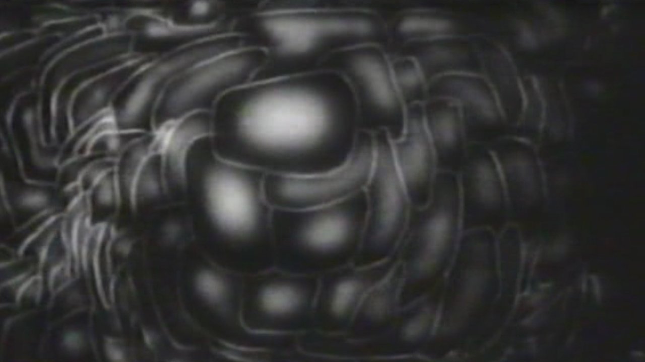 Modern Times: The Way of All Flesh