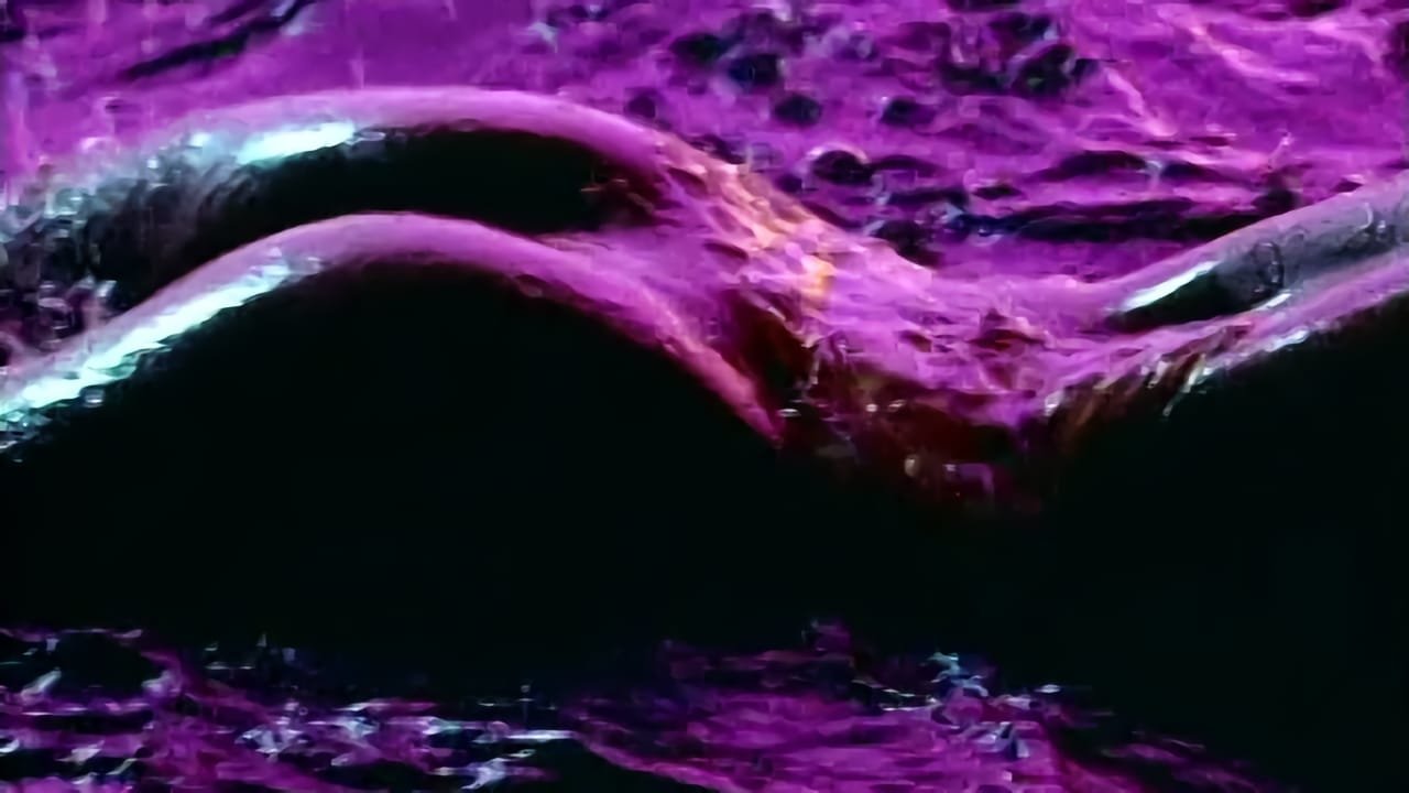 Playboy's Wet & Wild