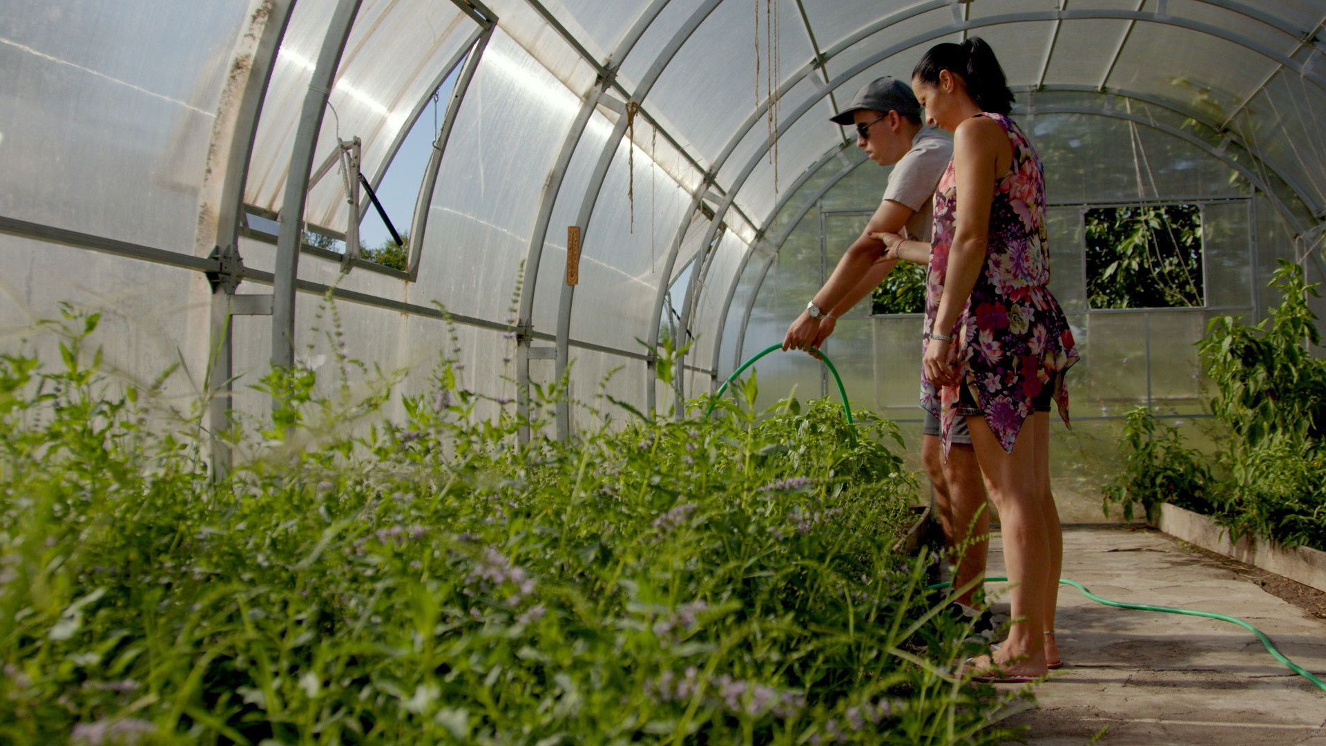 The Garden of Goodness