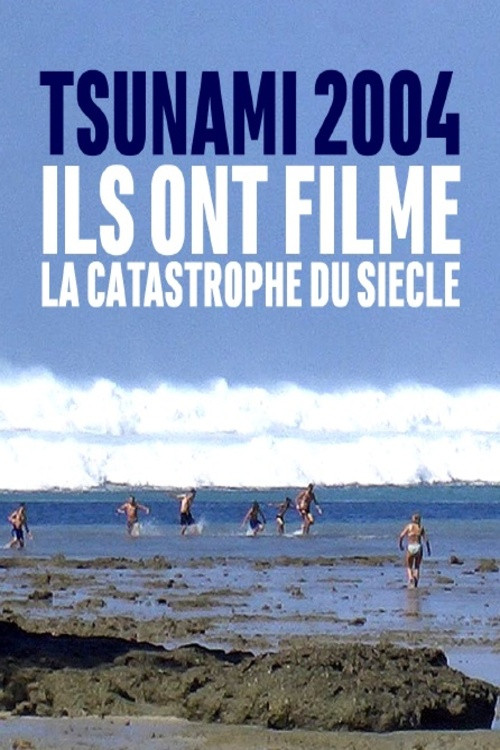 Tsunami 2004 : ils ont filmé la catastrophe du siècle